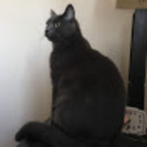 Meet your Posher, Timothy